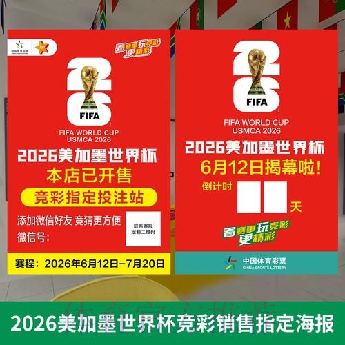 2026年世界杯投注软件安装与使用指南_1