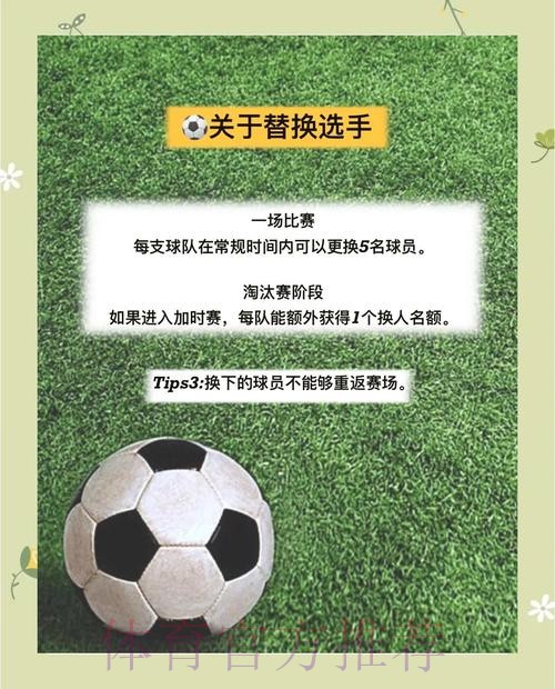 世界杯比分应用的核心功能与优势解析