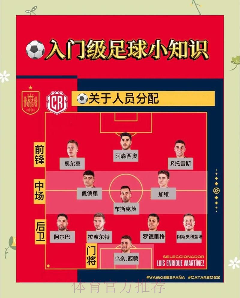 世界杯相关入口信息的最新进展深度解读