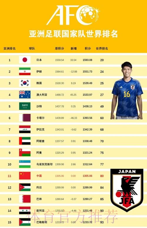 世界杯下注排行榜全方位解析与最新网站信息